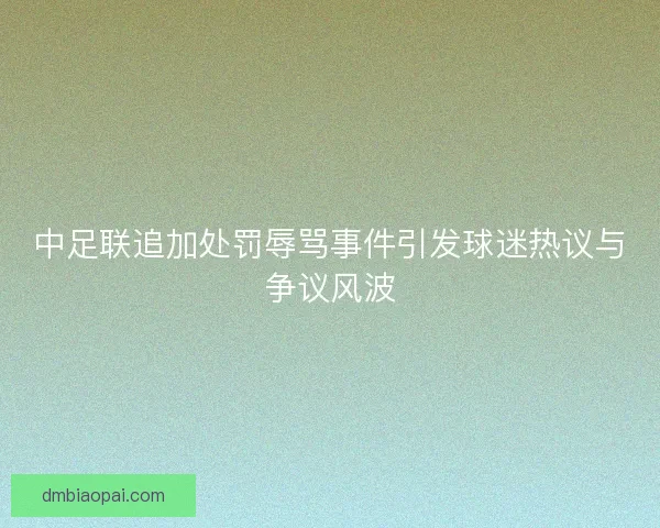 中足联追加处罚辱骂事件引发球迷热议与争议风波